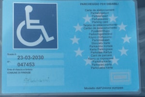 Das Halten auf einem Behindertenparkplatz ist nur mit dem entsprechenden EU-Parkausweis erlaubt. 